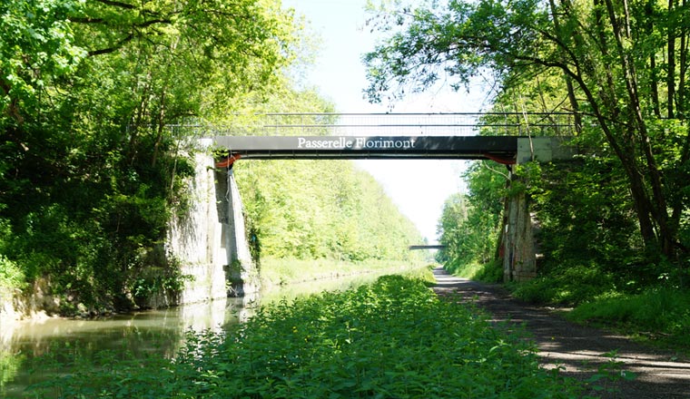 Original Image